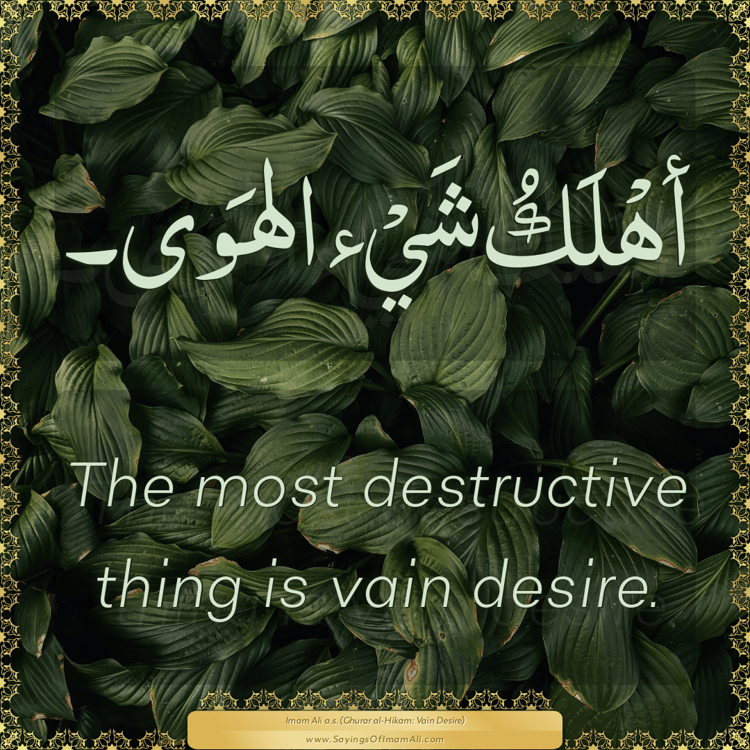 The most destructive thing is vain desire.